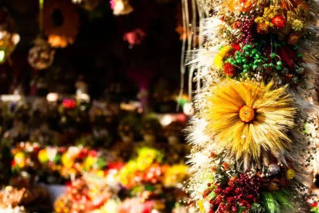 אירועים/פסטיבלים במהלך השנה ששווה להכיר ולרשום ביומן בזאקופנה והסביבה