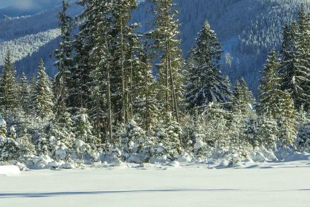 אפריל בזקפונה - טיפים המלצות מה יש לעשות ולראות, אירועים מיוחדים, מזג אוויר ועוד