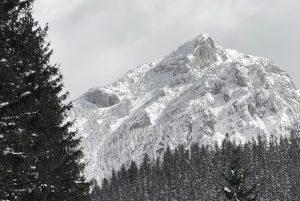 דצמבר בזקפונה - טיפים המלצות מה יש לעשות ולראות, אירועים מיוחדים, מזג אוויר ועוד