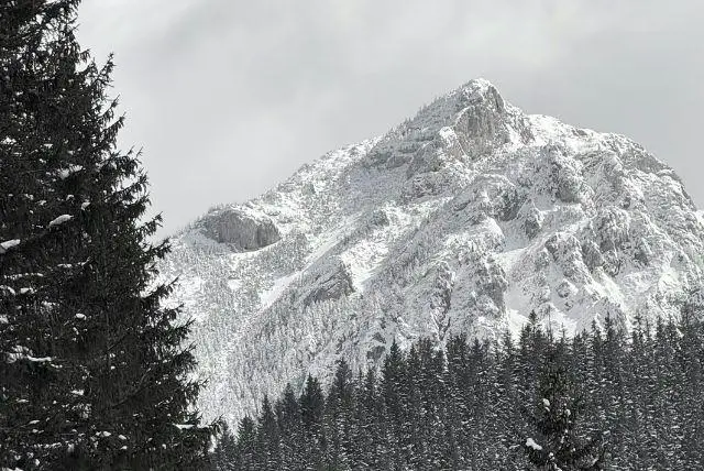 דצמבר בזקפונה - טיפים המלצות מה יש לעשות ולראות, אירועים מיוחדים, מזג אוויר ועוד