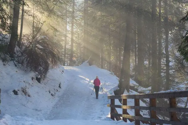 זקפונה אטרקציות לילדים