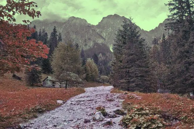 זקפונה מסלול 5 ימים - מה לראות ולעשות
