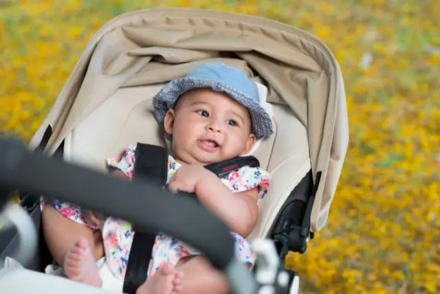 זקפונה עם עגלה - קרקוב עם תינוקות וילדים קטנים מדריך להורים