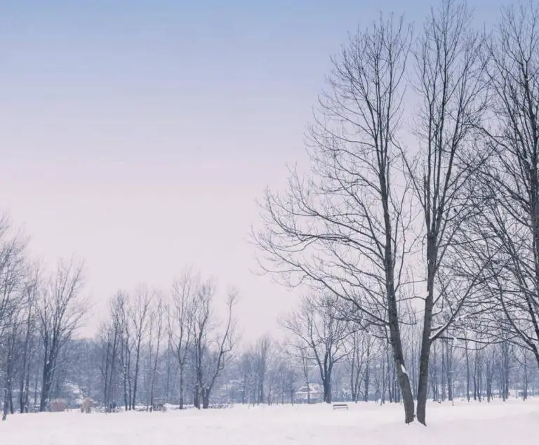 פברואר בזקפונה - טיפים המלצות מה יש לעשות ולראות, אירועים מיוחדים, מזג אוויר ועוד