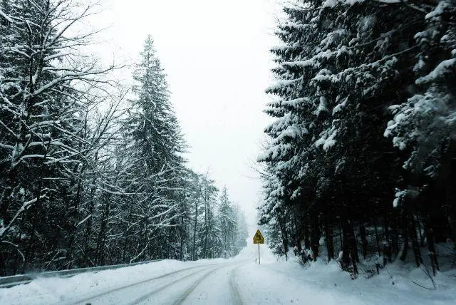 ינואר בזקפונה - טיפים המלצות מה יש לעשות ולראות, אירועים מיוחדים, מזג אוויר ועוד