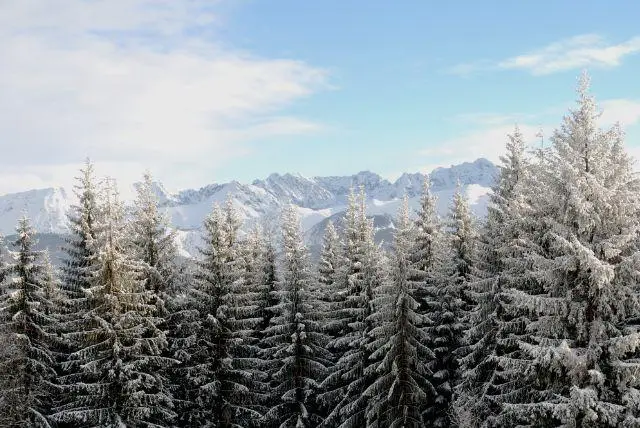 נובמבר בזקפונה - טיפים המלצות מה יש לעשות ולראות, אירועים מיוחדים, מזג אוויר ועוד