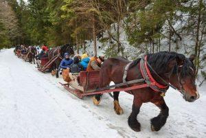 טיולי סוסים בזאקופנה והסביבה credit to getyourguide.com