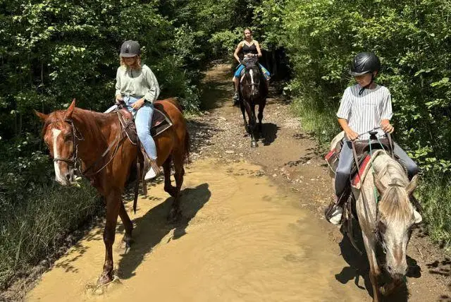 טיולי סוסים בזאקופנה והסביבה credit to getyourguide.com