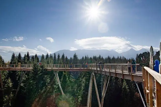 מקרקוב טיולים אל צמרות העצים בסלובקיה כולל זאקופנה credit to getyourguide.com