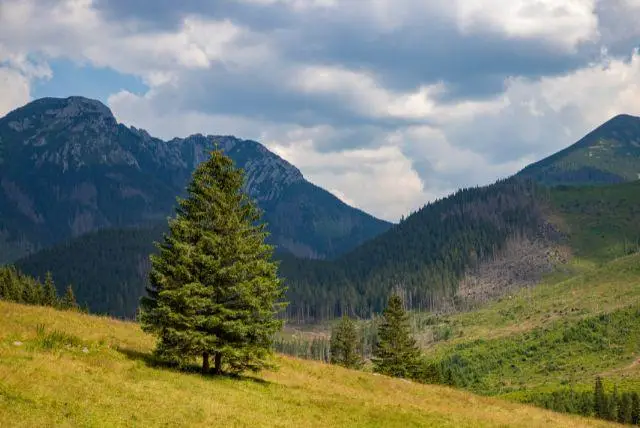 העמקים ליד זאקופנה שאסור לפספס