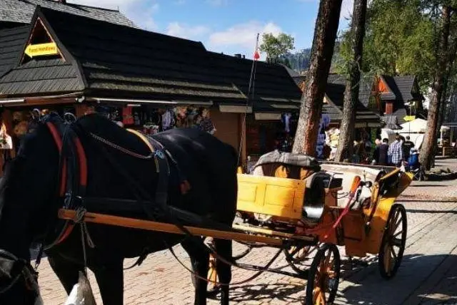 טיולי אופניים בהרי הטטרה באיזור זאקופנה (יציאה מקרקוב) credit to viator.com