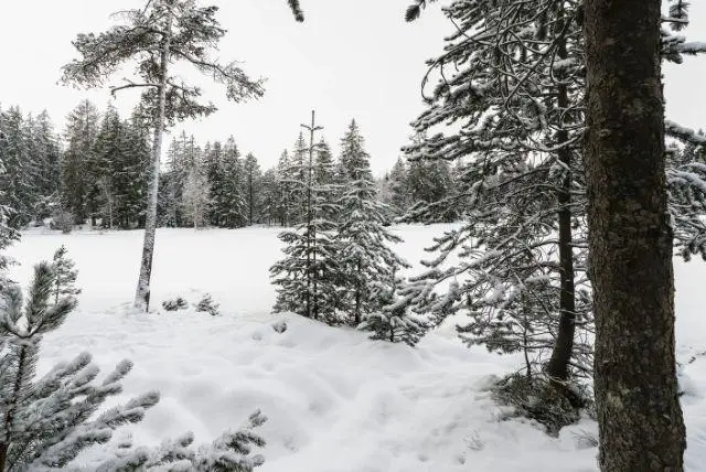 אטרקציות בזקופנה בחורף