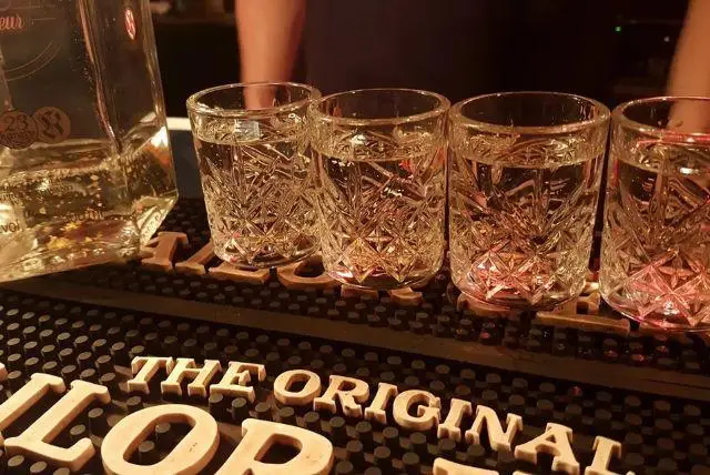 סיור טעימות וודקה פולנית מקומית בזאקופנה credit to getyourguide.com