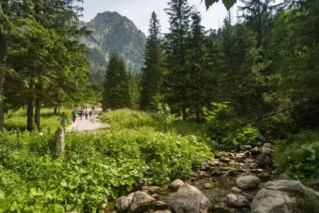 טיול אל עמק Polana Strążyska בזאקופנה