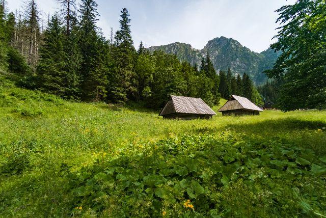 טיול אל עמק Polana Strążyska בזאקופנה