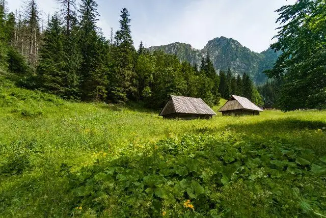 טיול אל עמק Polana Strążyska בזאקופנה