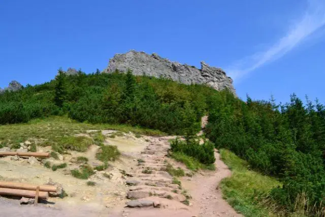 טיול טבע בזאקופנה אל Sarnia Skała