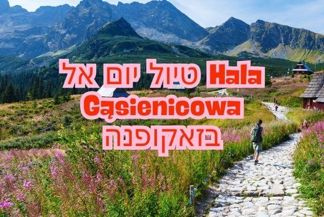 טיול יום אל Hala Gąsienicowa בזאקופנה