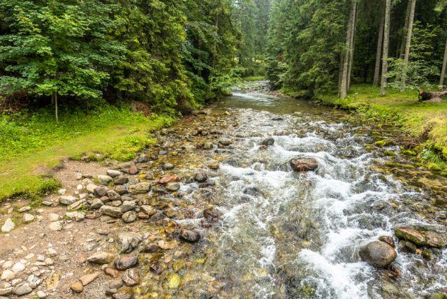 עמק Dolina Strążyska ליד זאקופנה - מושלם ליום טיול