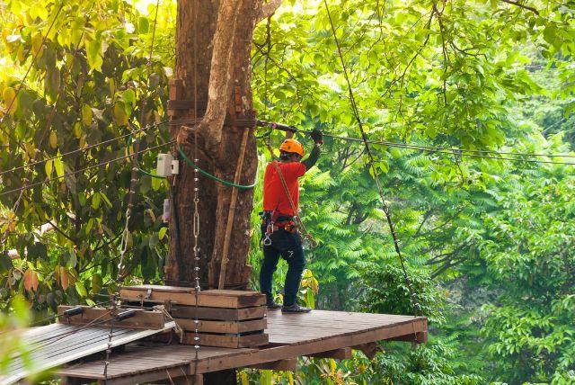 פארק חבלים זאקופנה (Park Linowy Gugu)