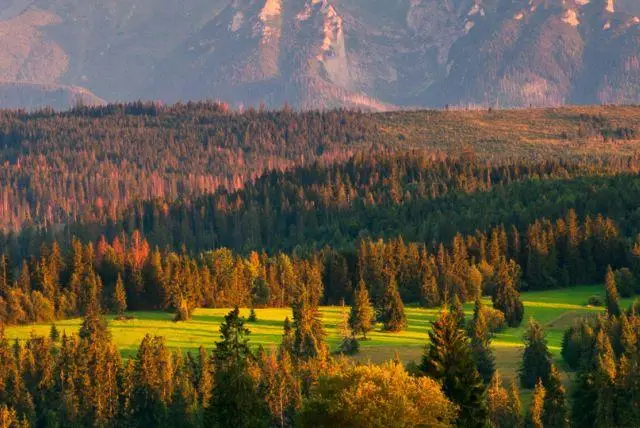 מוזיאון הטבע של זאקופנה (Centrum Edukacji Przyrodniczej Tatrzańskiego Parku Narodowego)