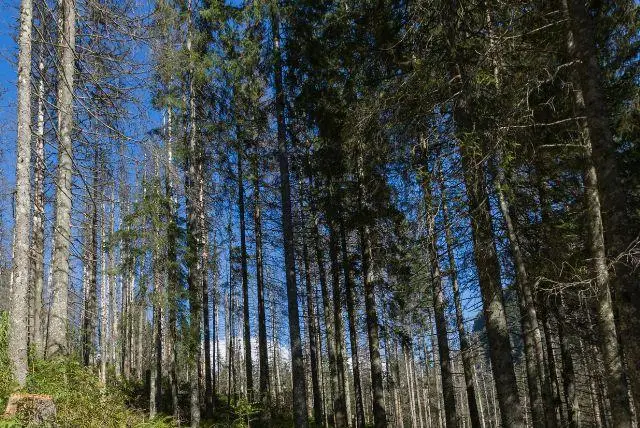 מוזיאון הטבע של זאקופנה (Centrum Edukacji Przyrodniczej Tatrzańskiego Parku Narodowego)