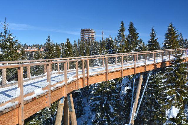 מזאקופנה אל Bachledka Treetop Walk ואגם Štrbské Pleso בסלובקיה