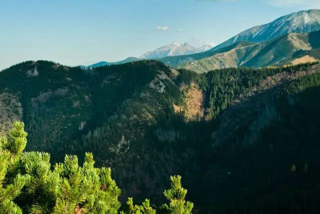 פסגת ההר Antałówka בזאקופנה פולין