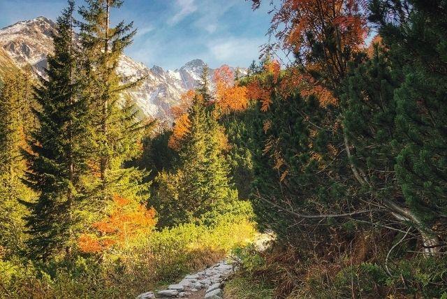 זקופנה איפה זה ומה חשוב לדעת מבחינה גיאוגרפית?