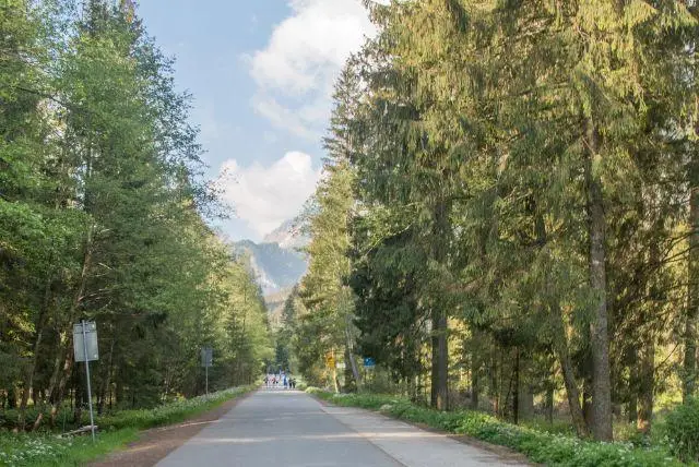 זקופנה גובה מעל פני הים - מה חשוב לדעת