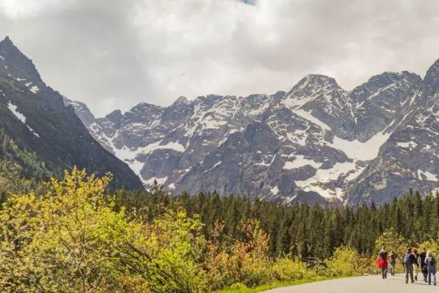 זקופנה עם ילדים בקיץ - האם מומלץ להגיע ומה יש לעשות?