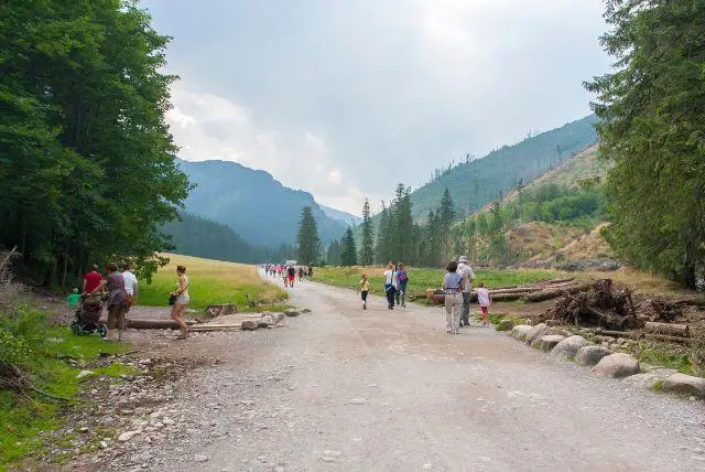 רחוב koscieliska בזאקופנה