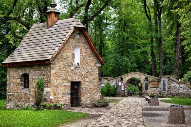 Peksow Brzyzek - בית הקברות העתיק של זאקופנה